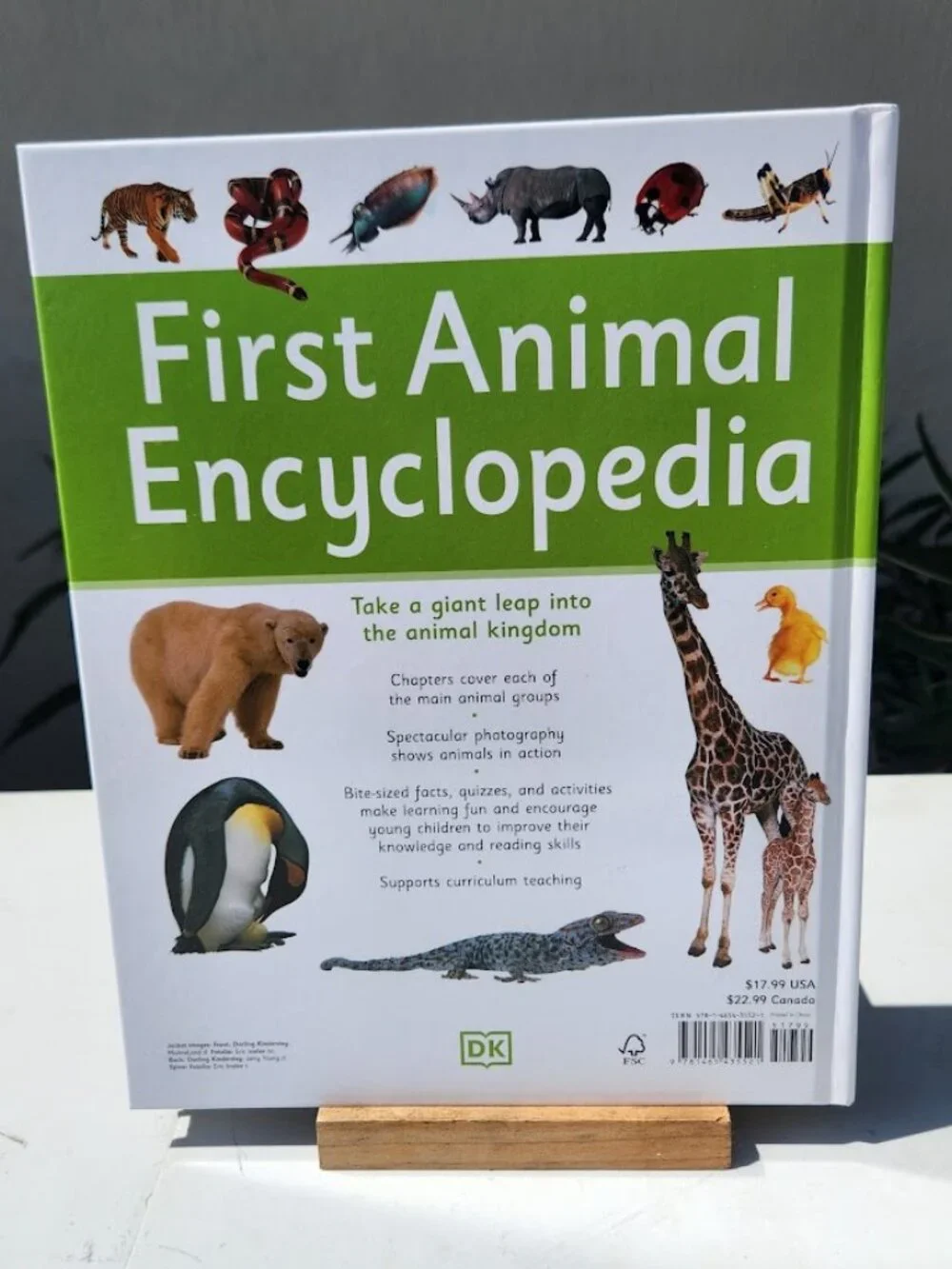 NEW DK First Animal Encyclopedia Hardcover Book Reference Guide Bookshark Scienc